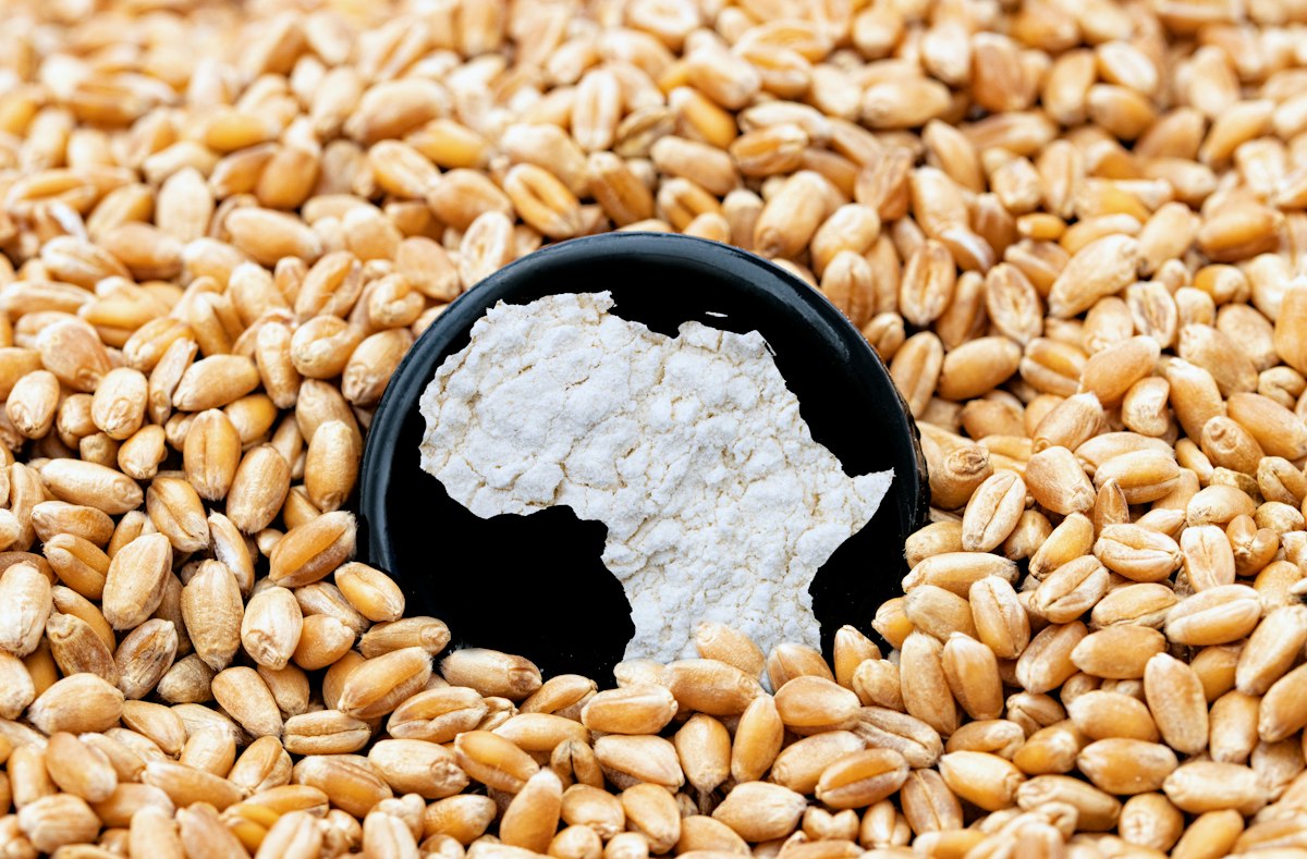 Lokaal Graan en Meelprodukten