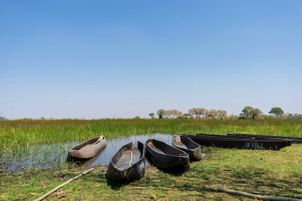 Verse Groenten uit Botswaanse Markten